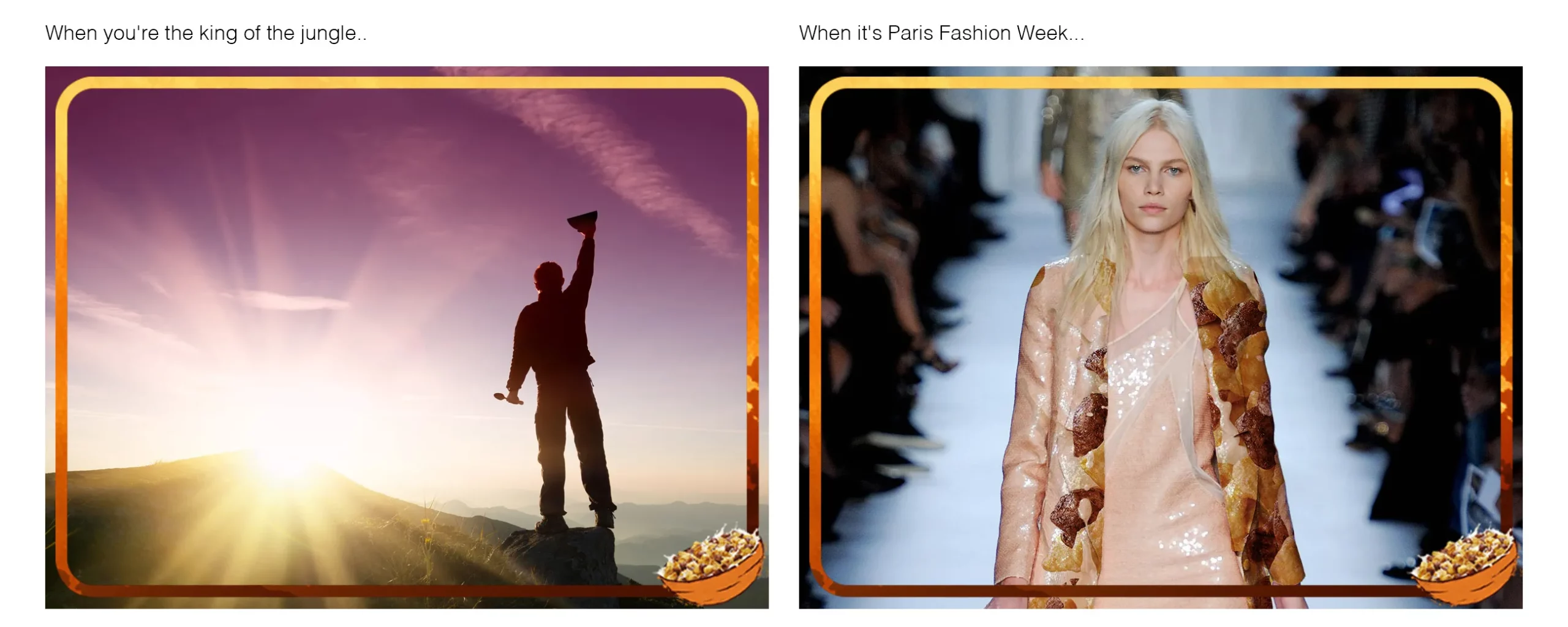 Facebook and Instagram posts for Nestlé Lion with king of the jungle and Paris fashion week themes